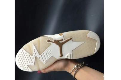 Wheat Retro Jordan 6 0820